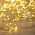 String Light GOLDEN TWIG CLF-03z 480LED cold white 3m + 5m Forever Light
