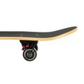 Skateboard NILS Extreme CR3108 Skulls