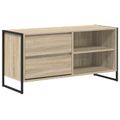 vidaXL TV skrinka 100 x 36 x 49,5 cm Sonoma Kompozitné drevo