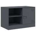 vidaXL TV skrinky 2 ks antracitové 67x39x44 cm oceľ