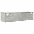 TV skrinka vidaXL Betónová sivá 100x31x25,5 cm Konštrukčné drevo