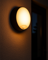 TR-733SC 20W LED BULKHEAD 3CCT 2 rámečky - biely a čierny Trixline