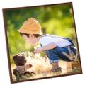 vidaXL Fotorámiky na stôl, koláž 5 ks, bronzové 30x30 cm, MDF