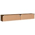 vidaXL TV skrinky s LED svetlami 2 ks dymový dub 100x30x30 cm