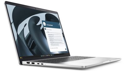 Dell Pro 16 Plus/PB16255/R5-220/16''/WUXGA/16GB/256GB/AMD int/W11P/Silver/3R NBD