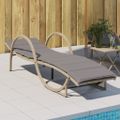 vidaXL Záhradné ležadlo s vankúšom béžové 60x199x42 cm polyratan