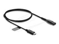 Delock - USB kabel - USB-C (M) do 2 piny (M) - 4.3 V - 0.07 A - 1 m - cerná