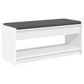 vidaXL Predsieňová lavica Biely 103 x 38 x 45 cm