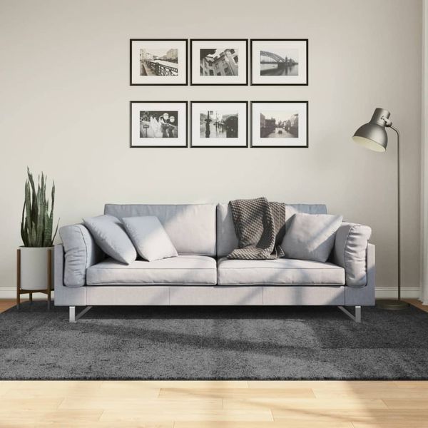 vidaXL Koberec OVIEDO krátky vlas antracitový 160x230 cm