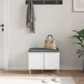 vidaXL Predsieňová lavica s vankúšom s úložiskom Biely 60 x 38 x 46 cm