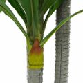 vidaXL Umelý dracaena strom 36 listov 180 cm zelený