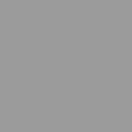 vidaXL Záhradná kôlňa bledosivá 191x130x198 cm pozinkovaná oceľ