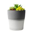 Setty humidifier NP-18 grey