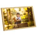 vidaXL Fotorámiky na stenu, koláž 5 ks, zlaté 50x70 cm, MDF