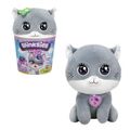 Winksies - blueberry kitten