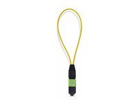 Single Mode MPO-12 Male Loopback Plug - LOOPBACKMTP12OS2SMM