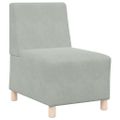 vidaXL Bezrúčková modulárna sofa jednotka 2 ks Svetlosivá Zamat