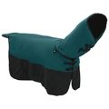 vidaXL Plášť pre kone Tmavozelená a čierna 145 cm Polyester