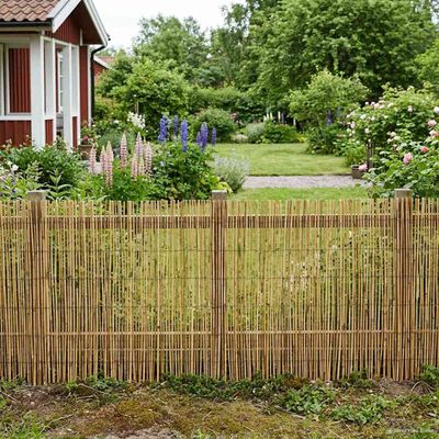 vidaXL Záhradný plot Karbonizovaný 400 x 100 cm Rákosie