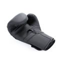 Boxerské rukavice DBX BUSHIDO B-2v15B 16 oz