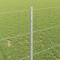 vidaXL Vonkajšie divoké oplotenie s posteľami 50 x 1 m Strieborná