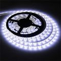 LED pásek SOLIGHT WM50-65T 5 m