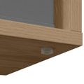 vidaXL Nízka skriňa 102 x 32 x 48,5 cm Remeselný dub