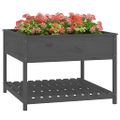vidaXL Kvetináč s policou sivý 111,5x111,5x81 cm masívna borovica