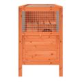 vidaXL Králikáreň hnedá 103x44x69,5 cm masívna borovica