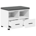 vidaXL Predsieňová lavica Biely 60 x 38 x 46 cm