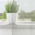 vidaXL Voálové závesy s priechodkami 2 ks svetlosivé 140x140 cm