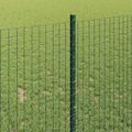 vidaXL Zvarené pletivo s podperami 50 x 1 m PVC potiahnutá oceľ Zelená