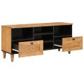 vidaXL TV skrinka so zásuvkou 100 x 33 x 46 cm Masívne mango drevo