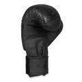 Boxerské rukavice DBX BUSHIDO B-2v18 10 oz