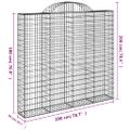 vidaXL Oblúkové gabiónové koše 30 ks 200x50x180/200 pozinkované železo