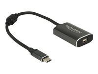 Externý video adaptér - VL100 - USB-C - Mini DisplayPort - tmavosivá - maloobchod