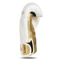 Boxerské rukavice DBX BUSHIDO B-2v19 14 oz