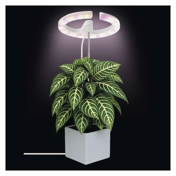 Rastúca lampa EMOS Z7902 Grow 8W