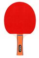 Zostava pálok, loptičiek a siete pre stolný tenis REBEL RBA-4001