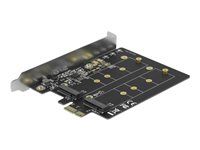 PCI Express x1 Card to 2 x internal M.2