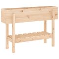 vidaXL Záhradný vyvýšený záhon 101x30x69 cm masívna borovica