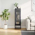 vidaXL Highboard Antracit 36x39x123 cm Oceľ valcovaná za studena
