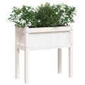 vidaXL Záhradný kvetináč s nohami biely 70x31x70 cm masívna borovica