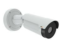 Termálna sieťová kamera - vonkajšia - odolná voči poveternostným vplyvom - farebná - 768 x 576 - audio - LAN 10/100 - MJPEG, H.264, MPEG-4 AVC - DC 8 - 28 V / AC 20 - 24 V / PoE