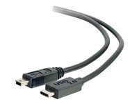 USB C Cable Black - USB kábel - mini-USB typ B (M) do USB-C (M) - USB 2.0 - 4 m - čierna