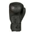 Boxerské rukavice DBX BUSHIDO B-2v18 10 oz