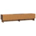 vidaXL TV skrinka 147 x 34,5 x 30 cm Staré drevo Kompozitné drevo