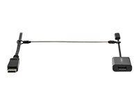 Dongle Cable Tether (CONNLOCKPK10) - Bezpečnostný kábel - strieborná - 30 cm - kompatibilný s TAA (balenie 10)