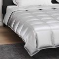 vidaXL Prikrývka na celý rok 240 x 260 cm 300 gsm Strieborná