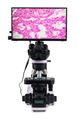 Biologický digitálny mikroskop MAGUS Bio D240T LCD
